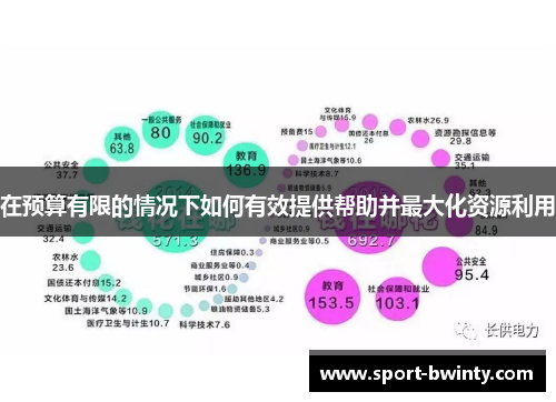 在预算有限的情况下如何有效提供帮助并最大化资源利用